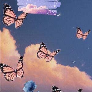 Meet your Posher, Harmony